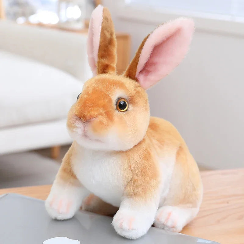companion lapin pour enfants